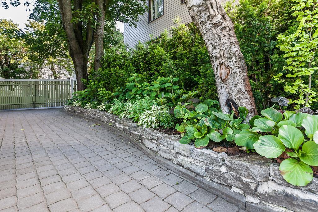 Center Garden * Tallin
